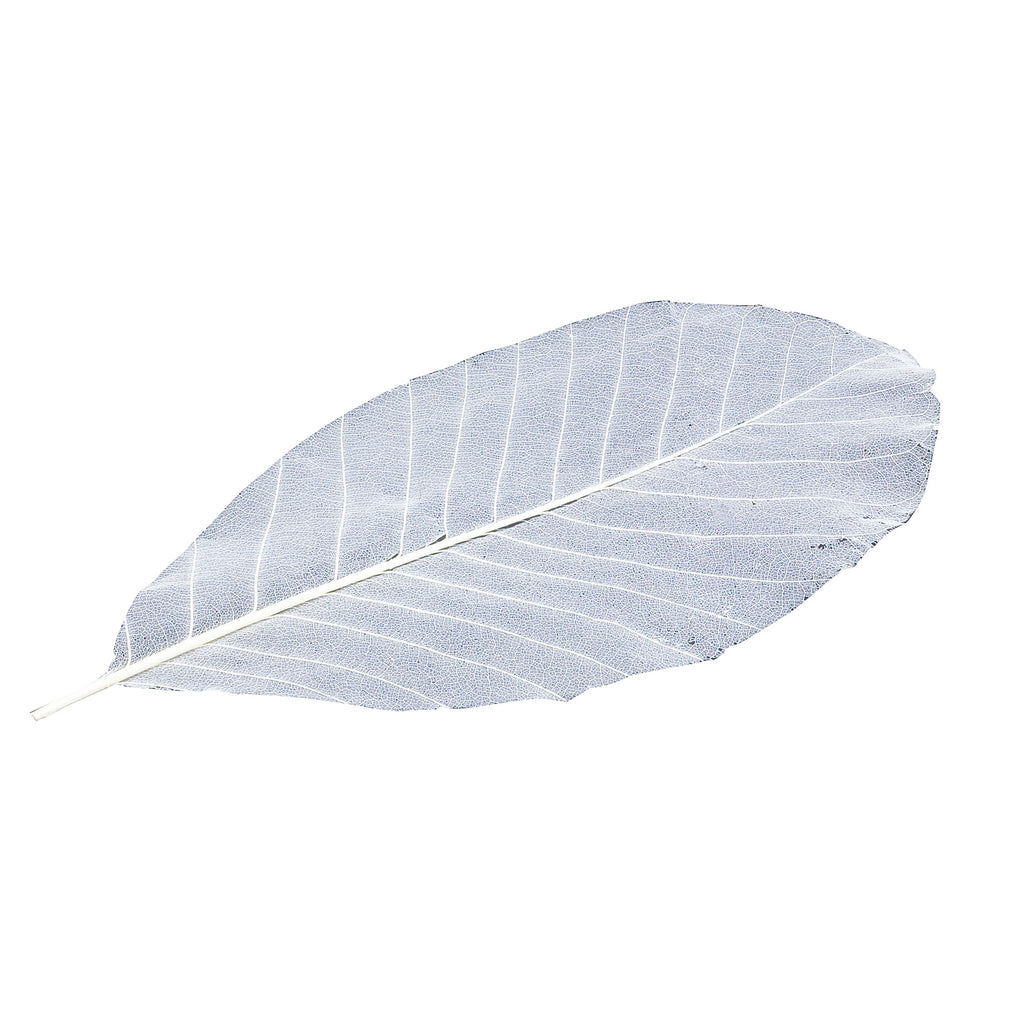 網朴葉 50枚入 – YOUBI.shop【用美公式オンライン】