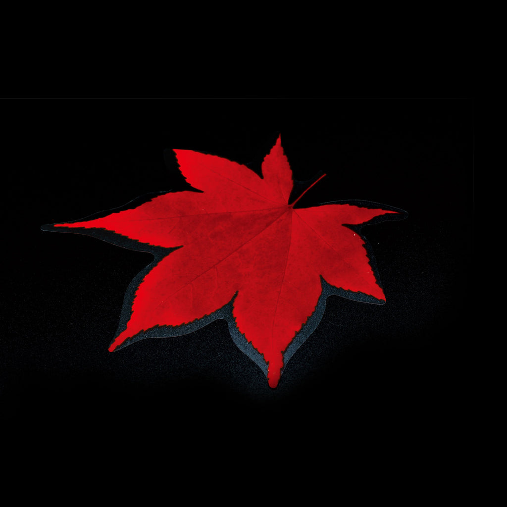 65785_1024x.jpg?v=1643359055