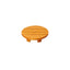 Sawara colored serving tray