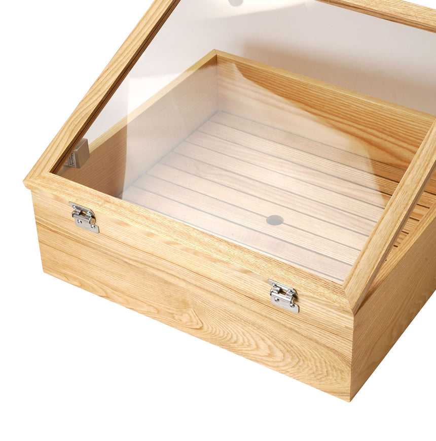 Tamo Food Box with Acrylic Lid (Adjustable Lid) Clear