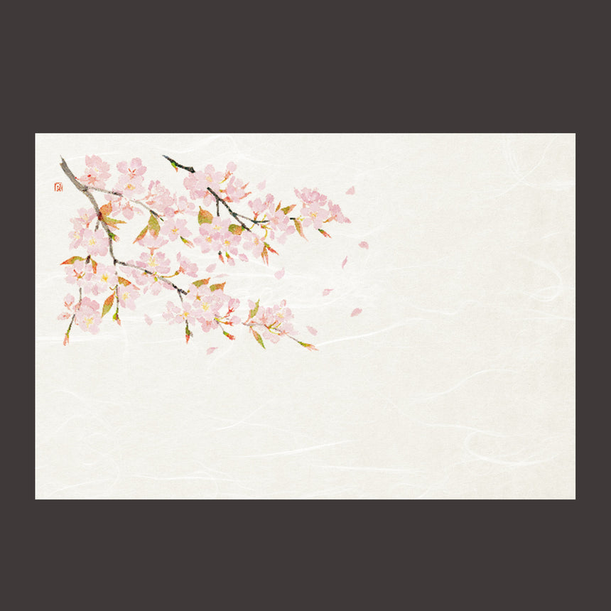尺３雲竜和紙懐石まっと 四季 桜 50枚
