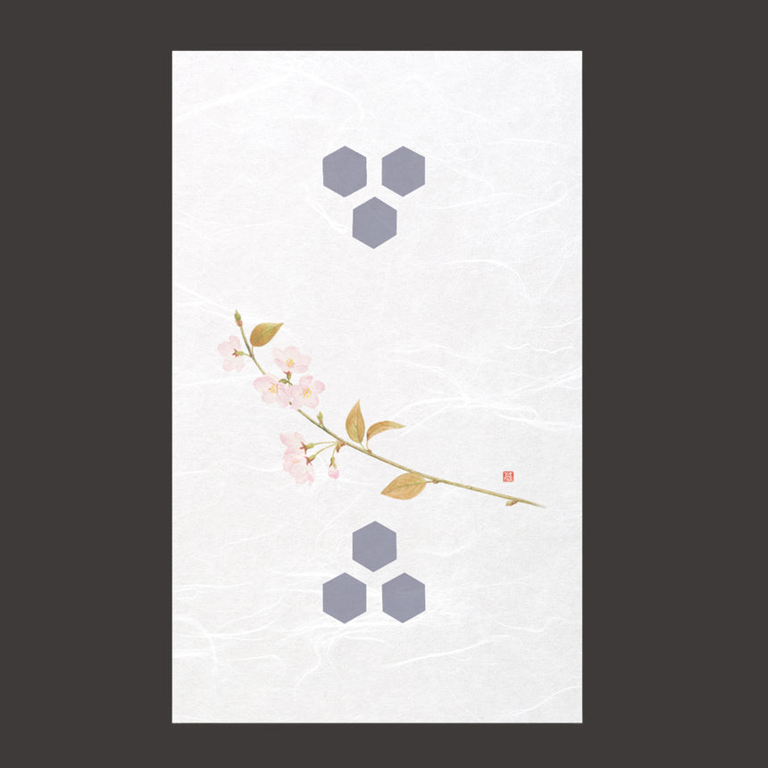 ドーム掛紙 桜  100枚