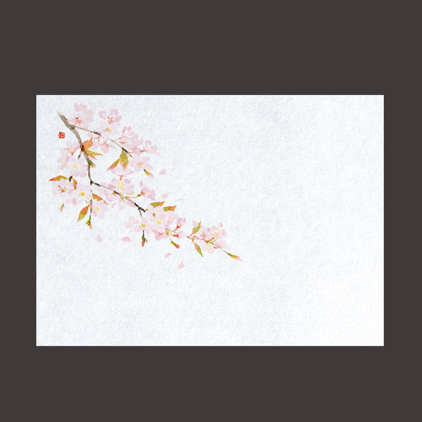 Far-infrared fresh paper Sakura 100 sheets