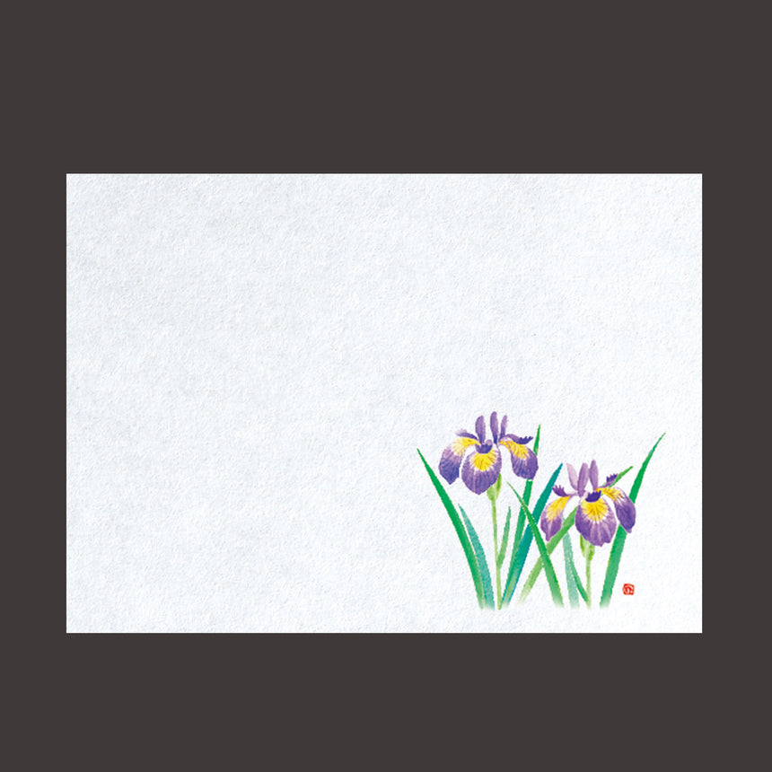 Far-infrared fresh paper, Iris, 100 sheets