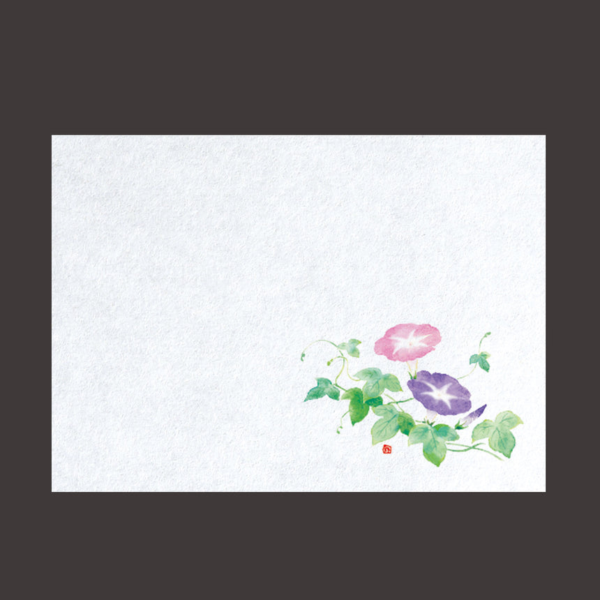 Far-infrared fresh paper Morning glory 100 sheets
