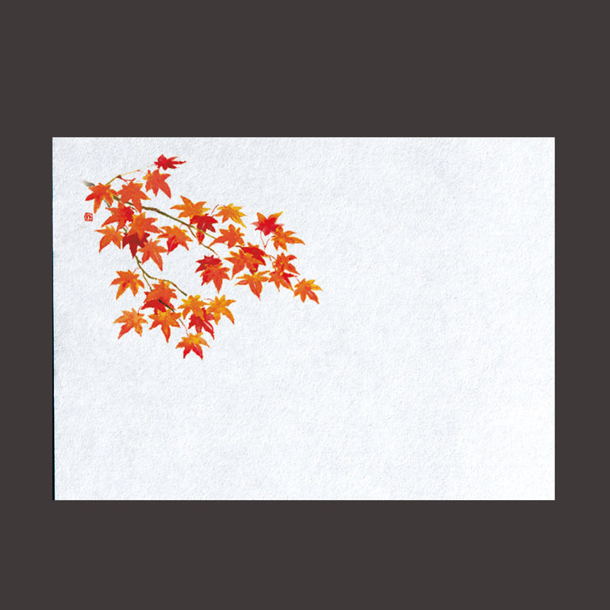 Far-infrared fresh paper, autumn leaves, 100 sheets