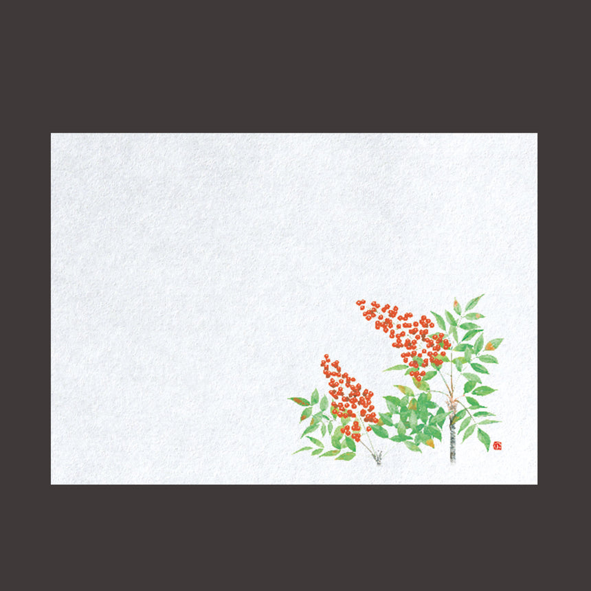 Far-infrared fresh paper Nanten 100 sheets