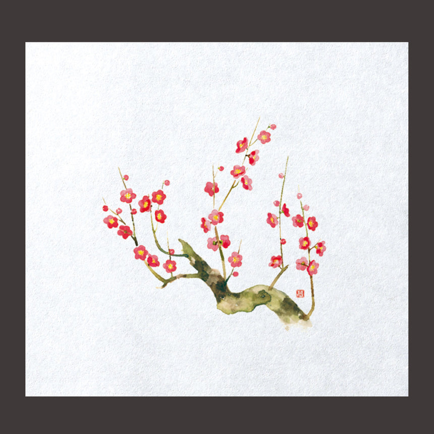 Far-infrared fresh paper, plum, 100 sheets