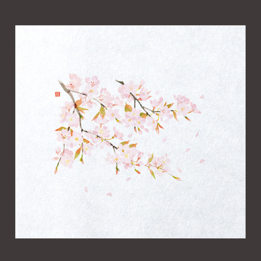 Far-infrared fresh paper Sakura 100 sheets