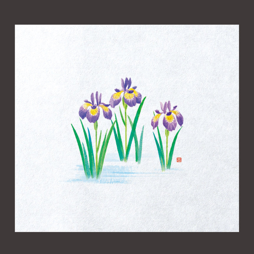 Far-infrared fresh paper, Iris, 100 sheets