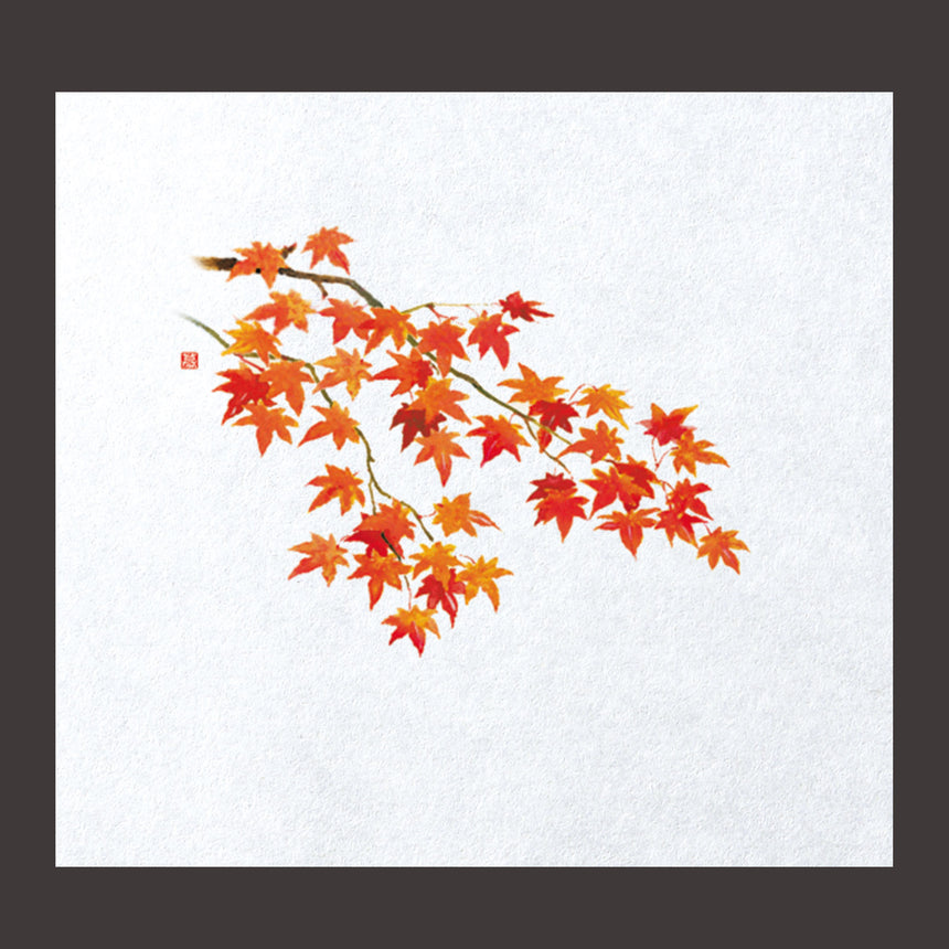Far-infrared fresh paper, autumn leaves, 100 sheets