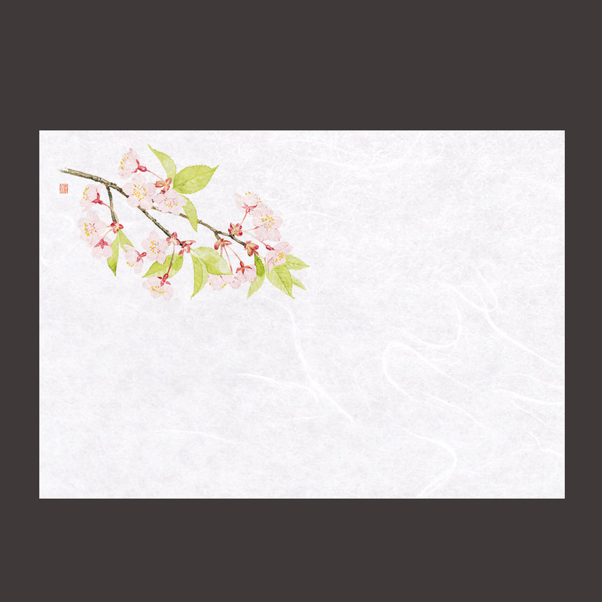 100 pieces of Unryu Washi paper mats, four seasons, cherry blossom