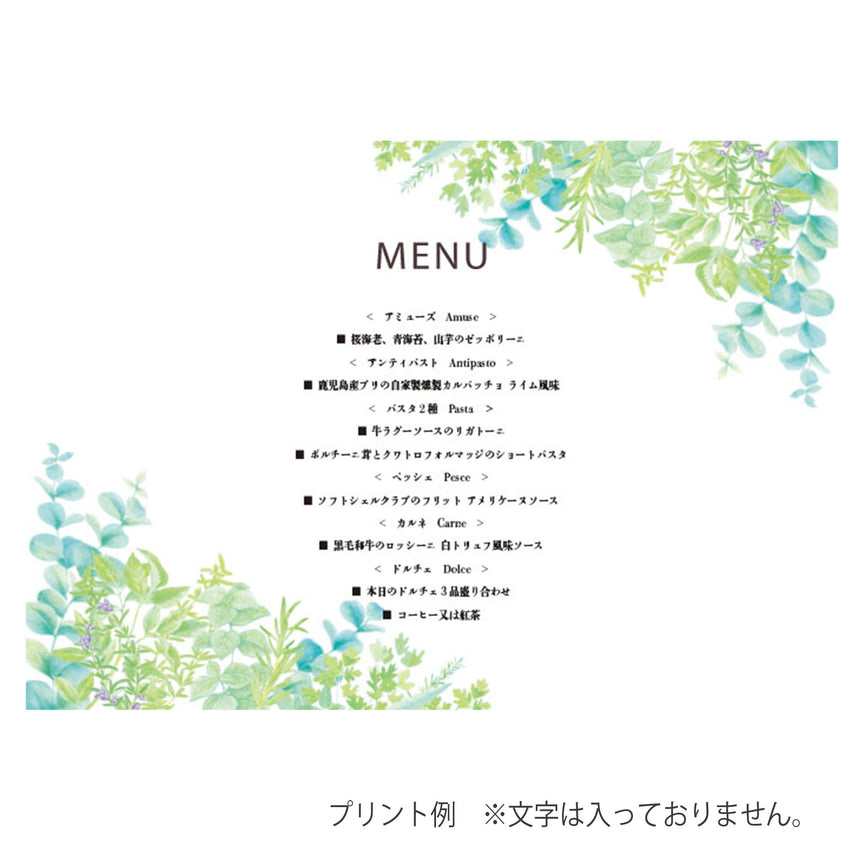 カフェまっと　ハーブ　（100枚入）