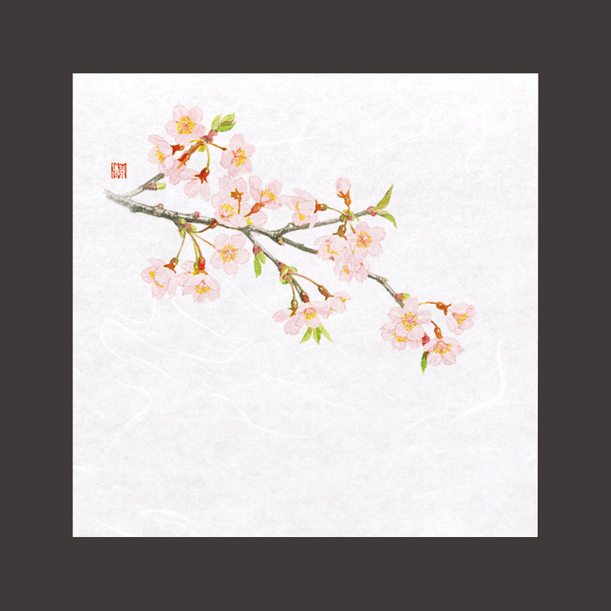 ４寸ＯＰ懐石敷紙　桜　100枚