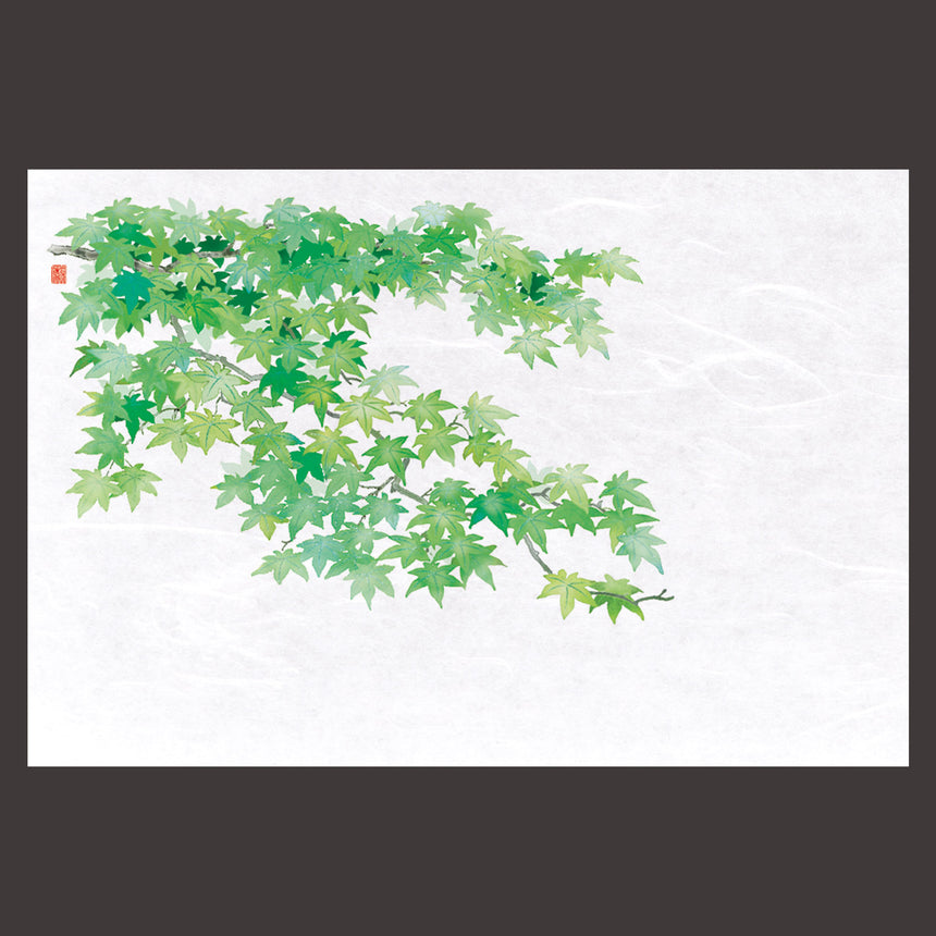 尺3花暦 懐石まっと　青もみじ （100枚入）