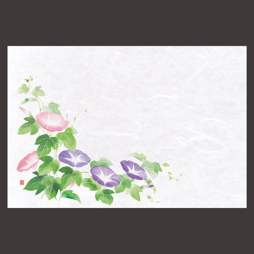尺3花暦 懐石まっと　朝顔 （100枚入）