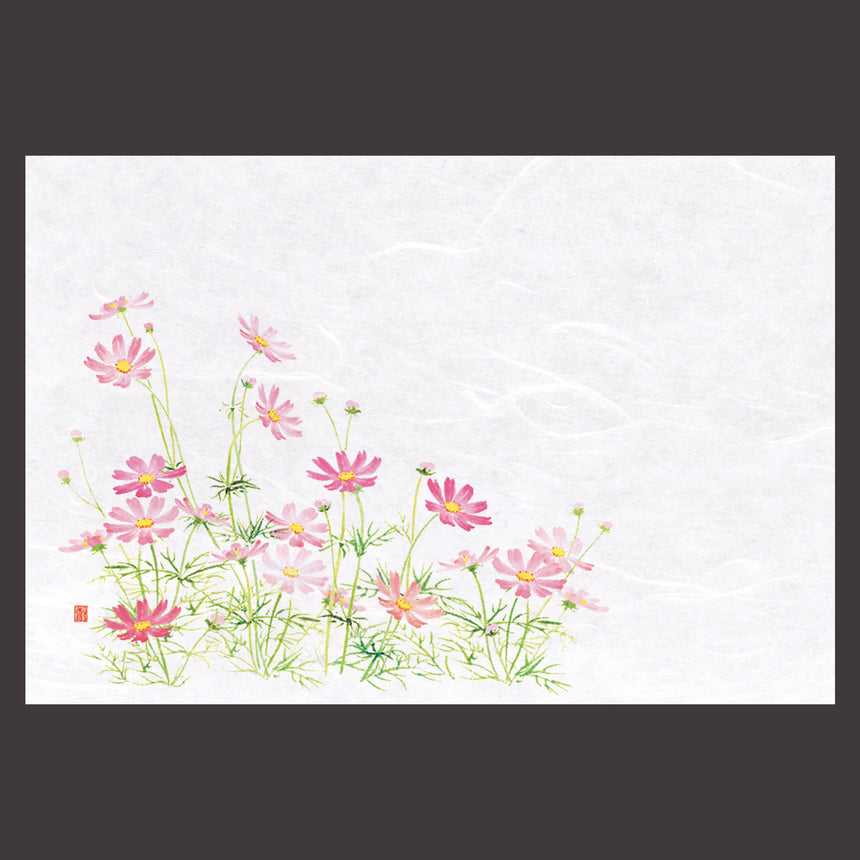 尺3花暦 懐石まっと　こすもす （100枚入）