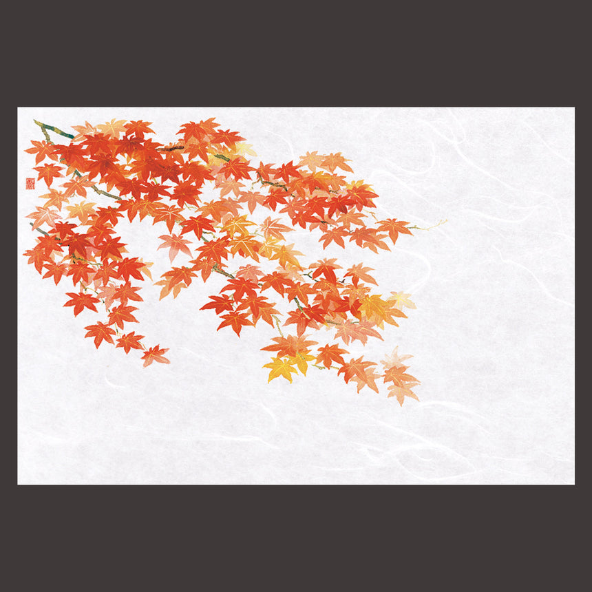 尺3花暦 懐石まっと　赤もみじ （100枚入）