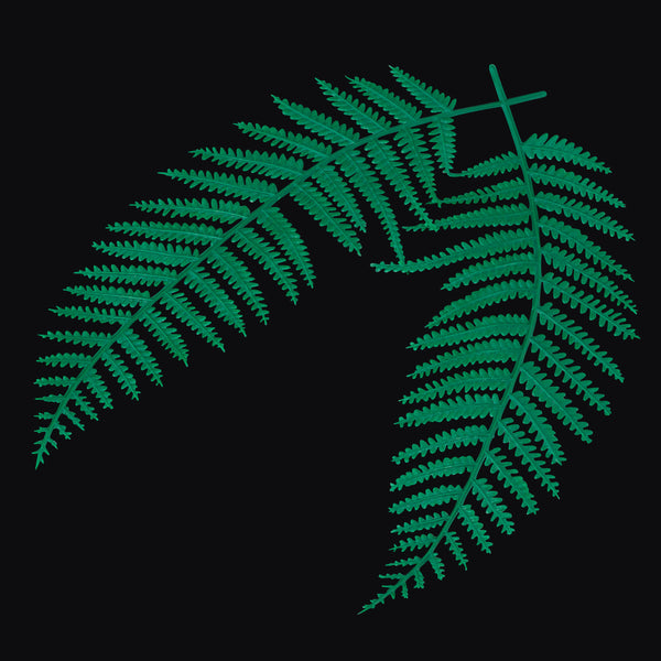 ウラジロ　100枚 ウラジロ飾り 100ヶ入 – YOUBI.shop【用美公式オンライン】