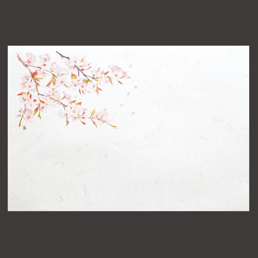 尺５雲竜和紙懐石まっと　四季 桜 100枚