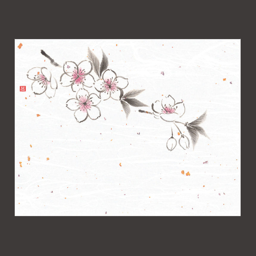 4×5寸花風情　桜　100枚